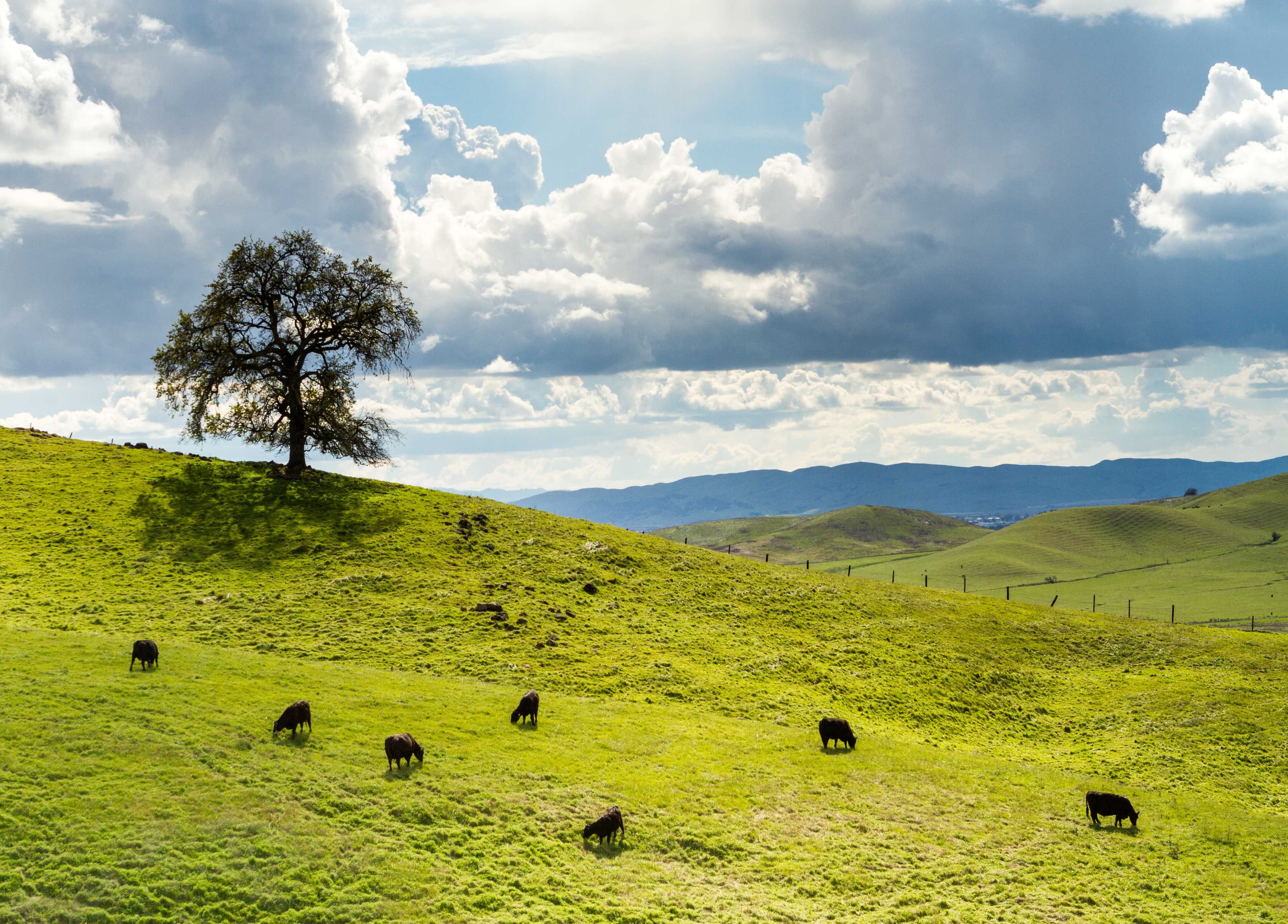 Vacaville.jpg