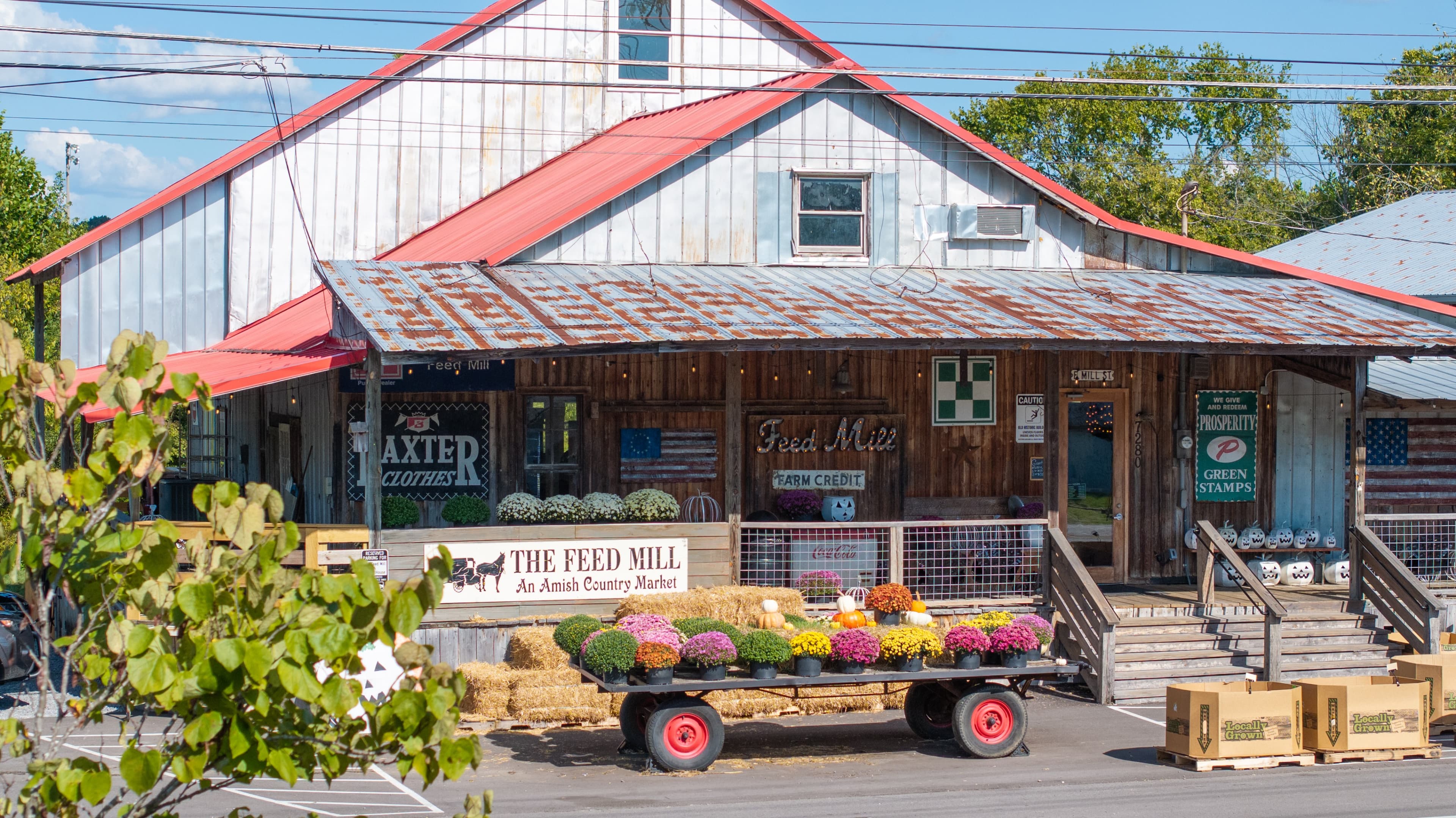 Nolensville, TN