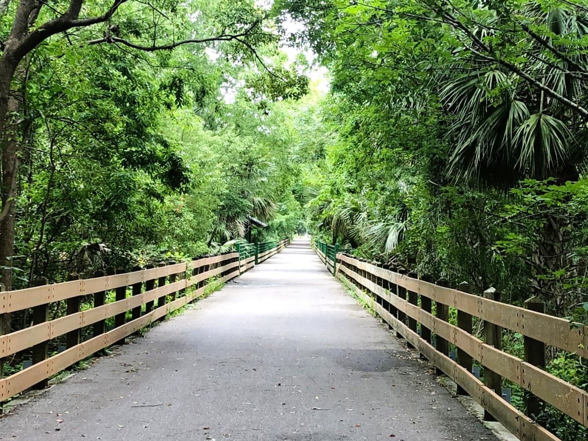 trail path surrounded by trees and fence