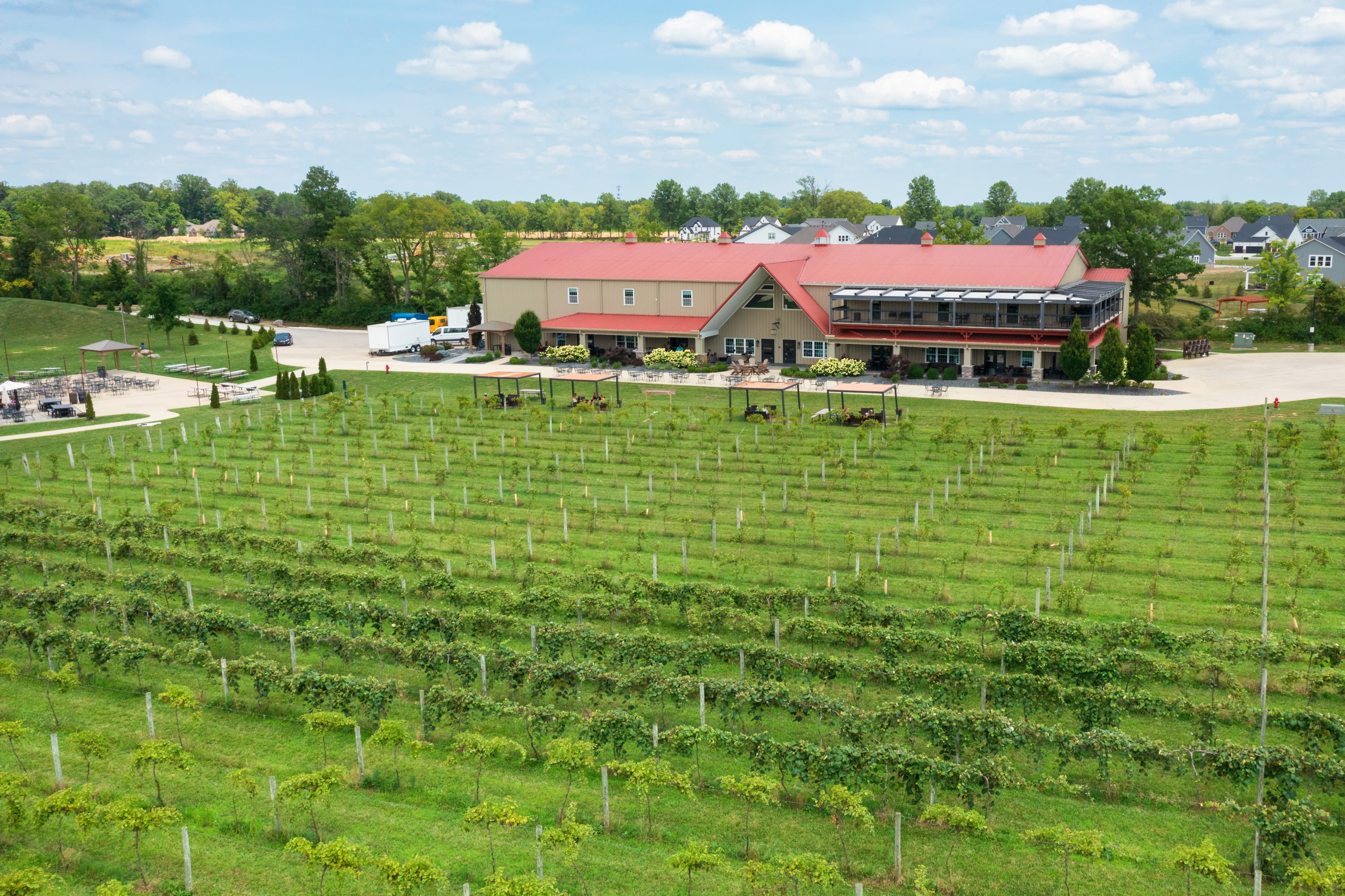 Daniel's Vineyard