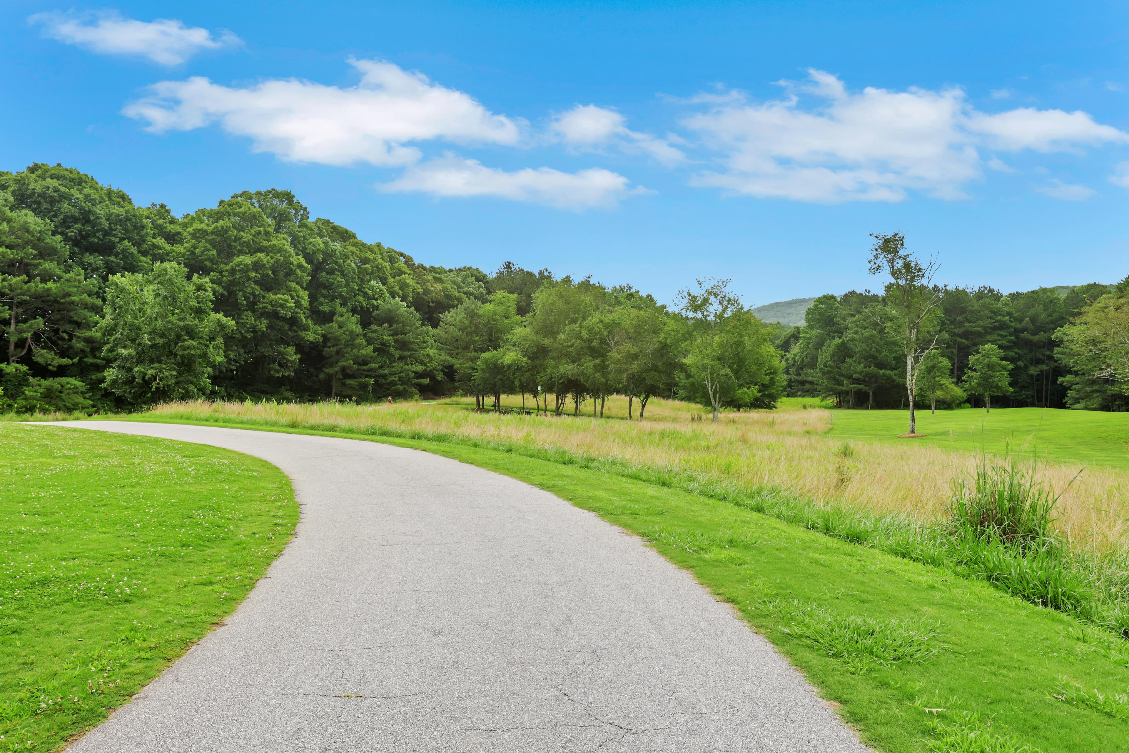 LITTLE_MULBERRY_PARK_029.jpg