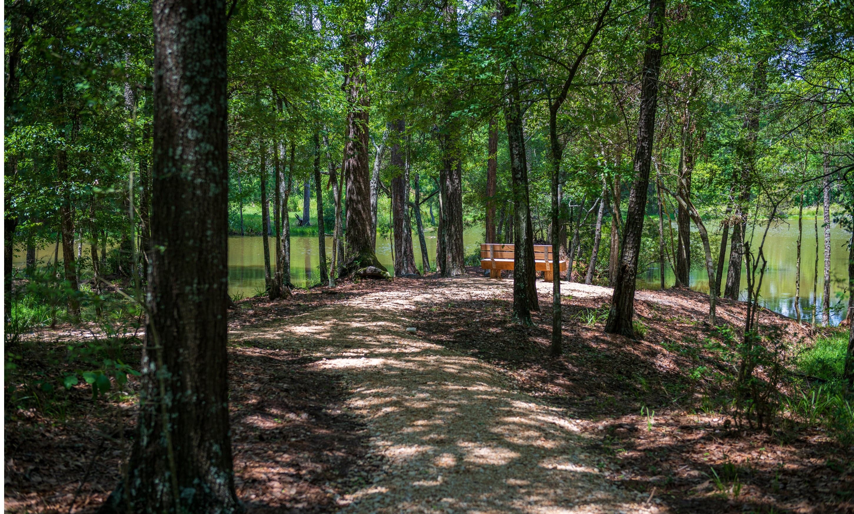 walking trail.jpg