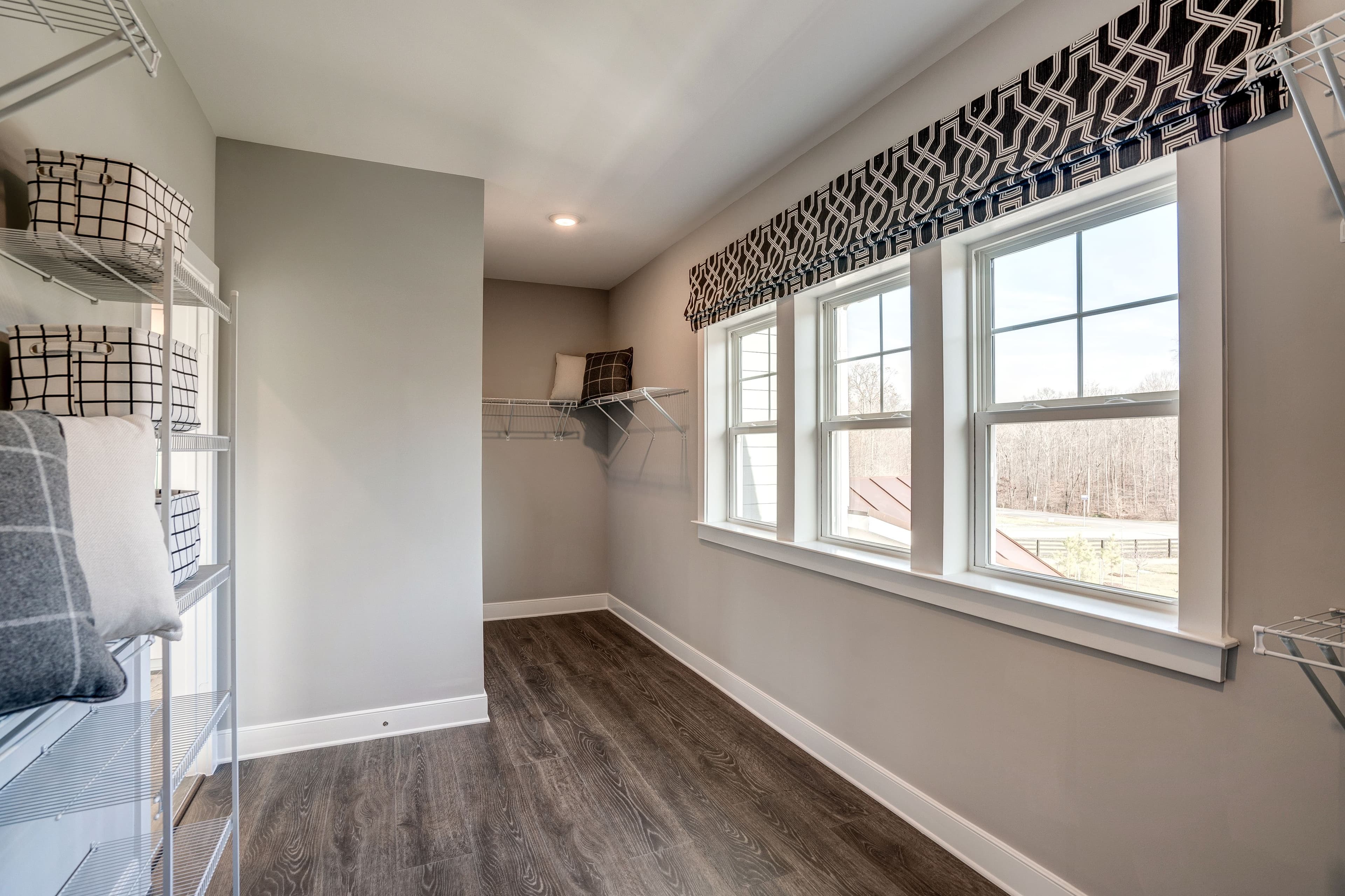 walk-in closet with three windows
