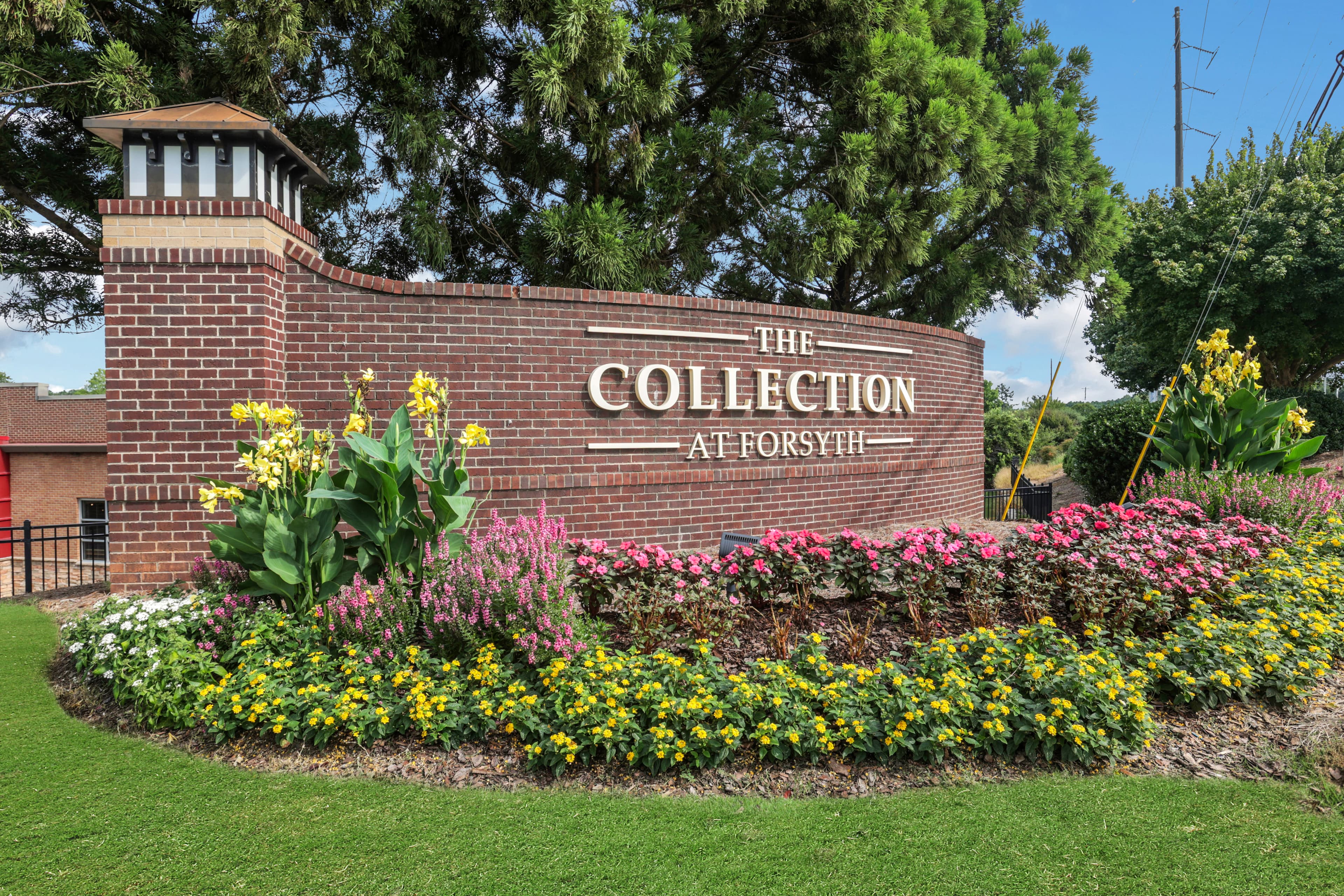 THE_COLLECTION_066.jpg