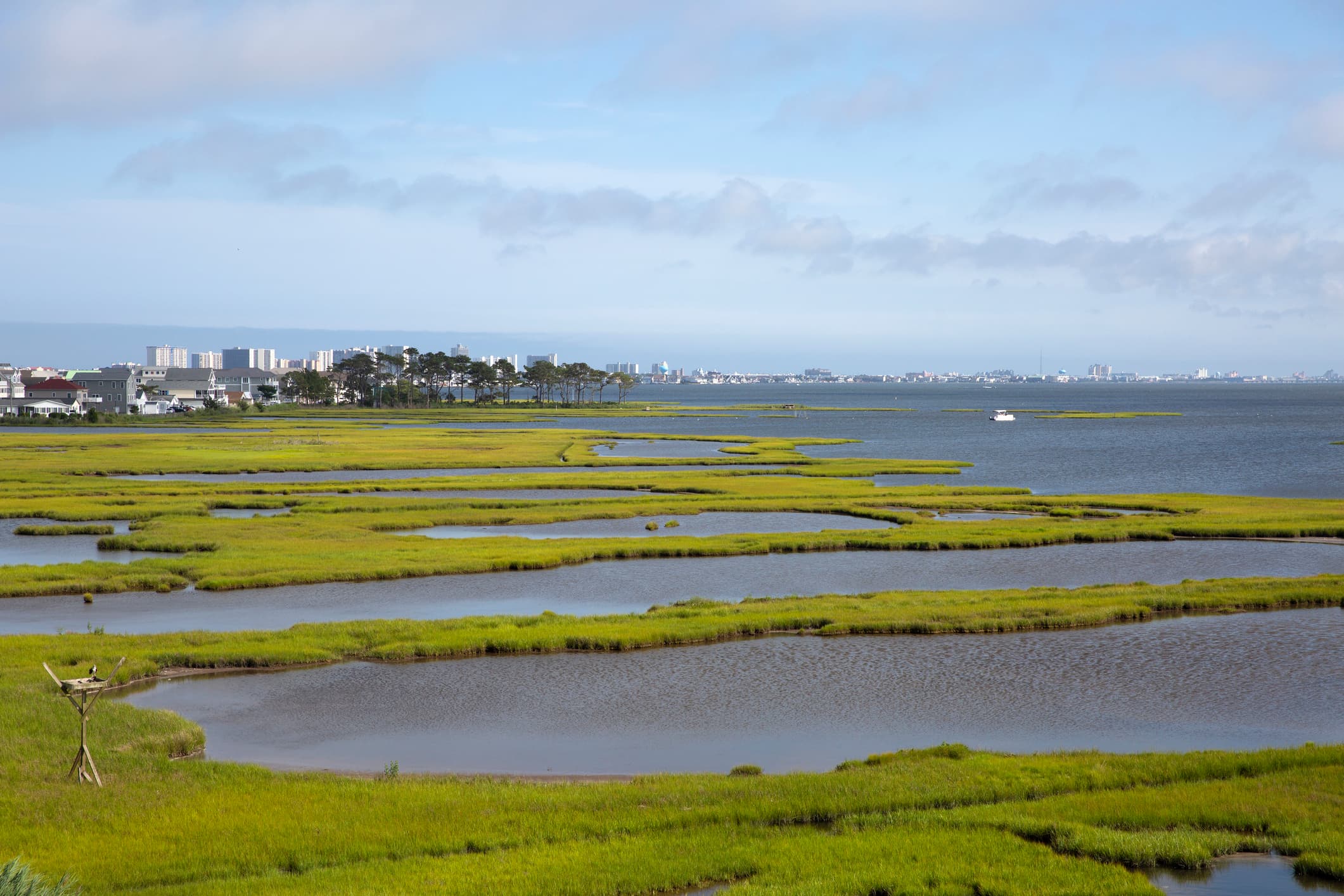 Selbyville-Fenwick Island.jpg